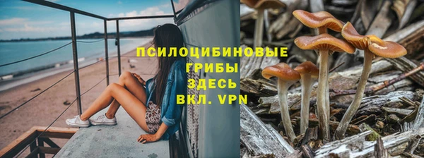 герыч Медвежьегорск
