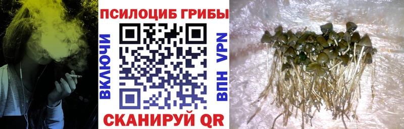 Псилоцибиновые грибы прущие грибы  где купить наркоту  Троицк 